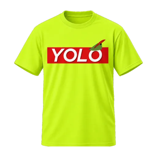 YOLO Tee